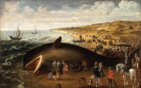 2023 年最大的雷来了？145 亿美金巨鲸若"搁浅"恐致熊市雪上加霜