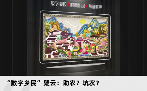 “数字乡民”疑云：助农？坑农？