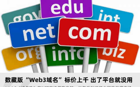 数藏版“Web3 域名”标价上千，出了平台就没用