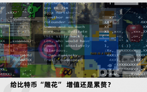 给比特币“雕花” 增值还是累赘？