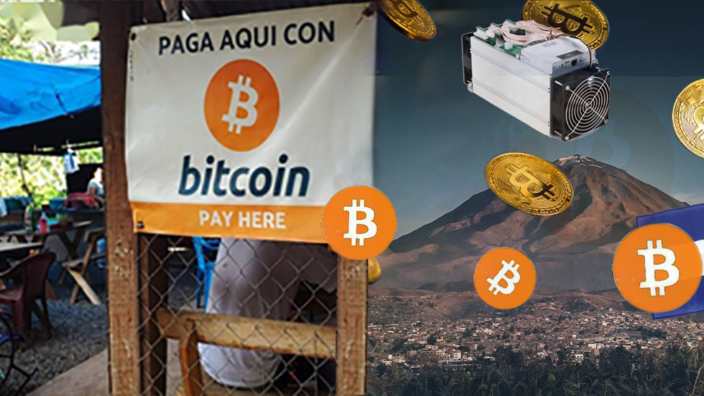 那些将数字货币作为法币的第三世界国家现在怎么样了？