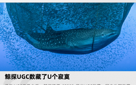 鲸探 UGC 数藏 U 了个寂寞