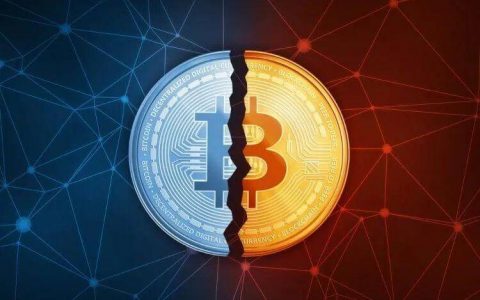 比特币减半叙事上线，生态迎来新时代